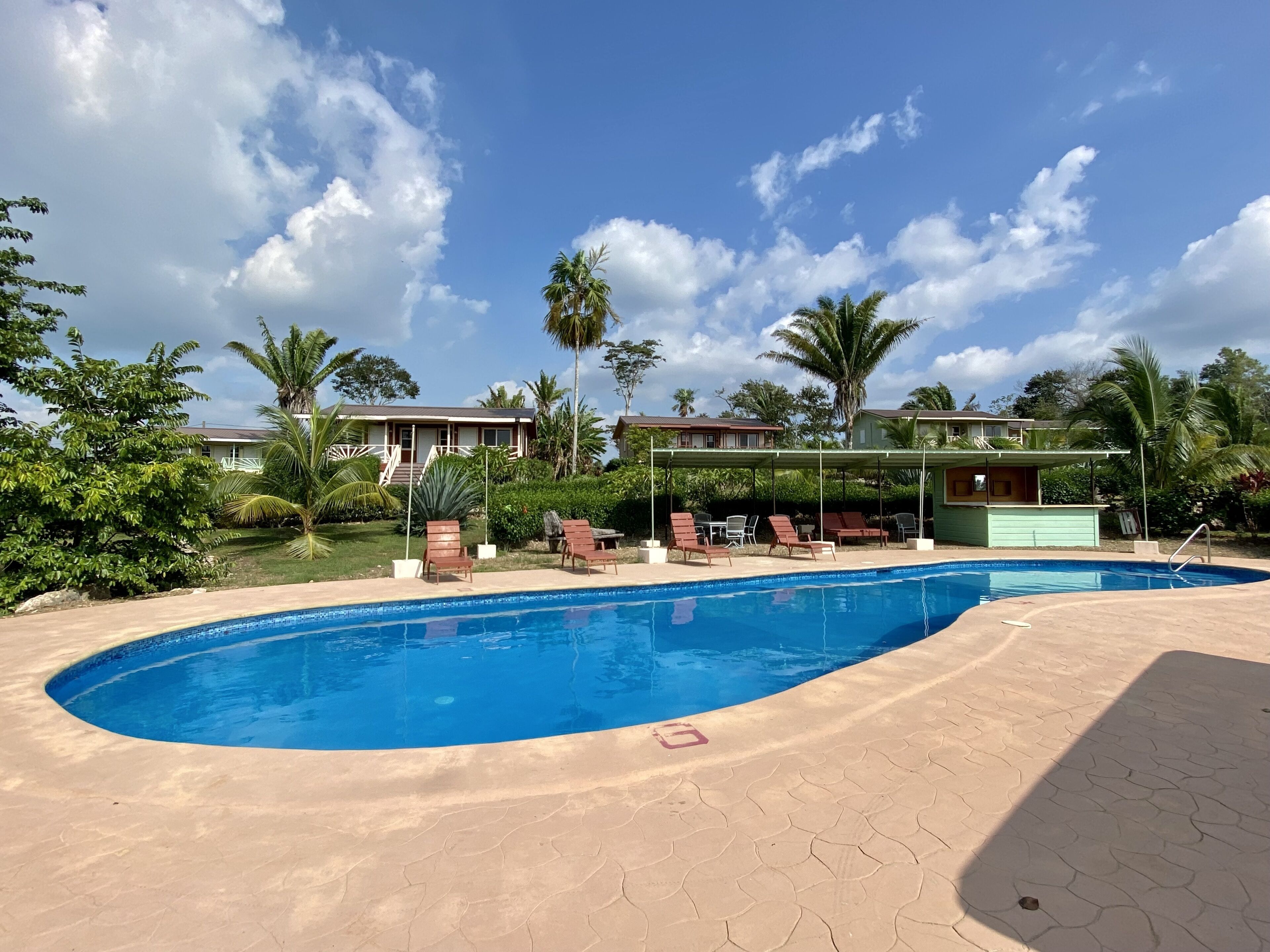 A swimming pool with lounge chairs and a covered seating area, surrounded by palm trees and houses.