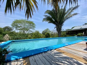 A clear blue swimming pool with a wooden deck, surrounded by lush greenery and palm trees. - Dream Valley Belize (Belmopan)
