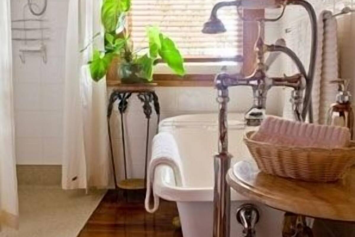 A bathroom with a bathtub, a shower, a sink, a window, and a potted plant.