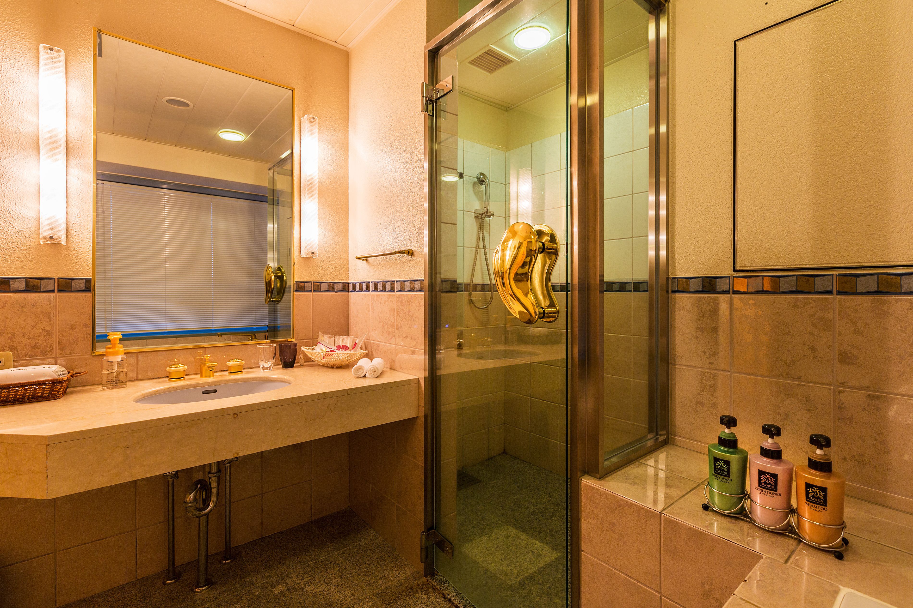 combined shower/bathtub, free toiletries, hair dryer, slippers