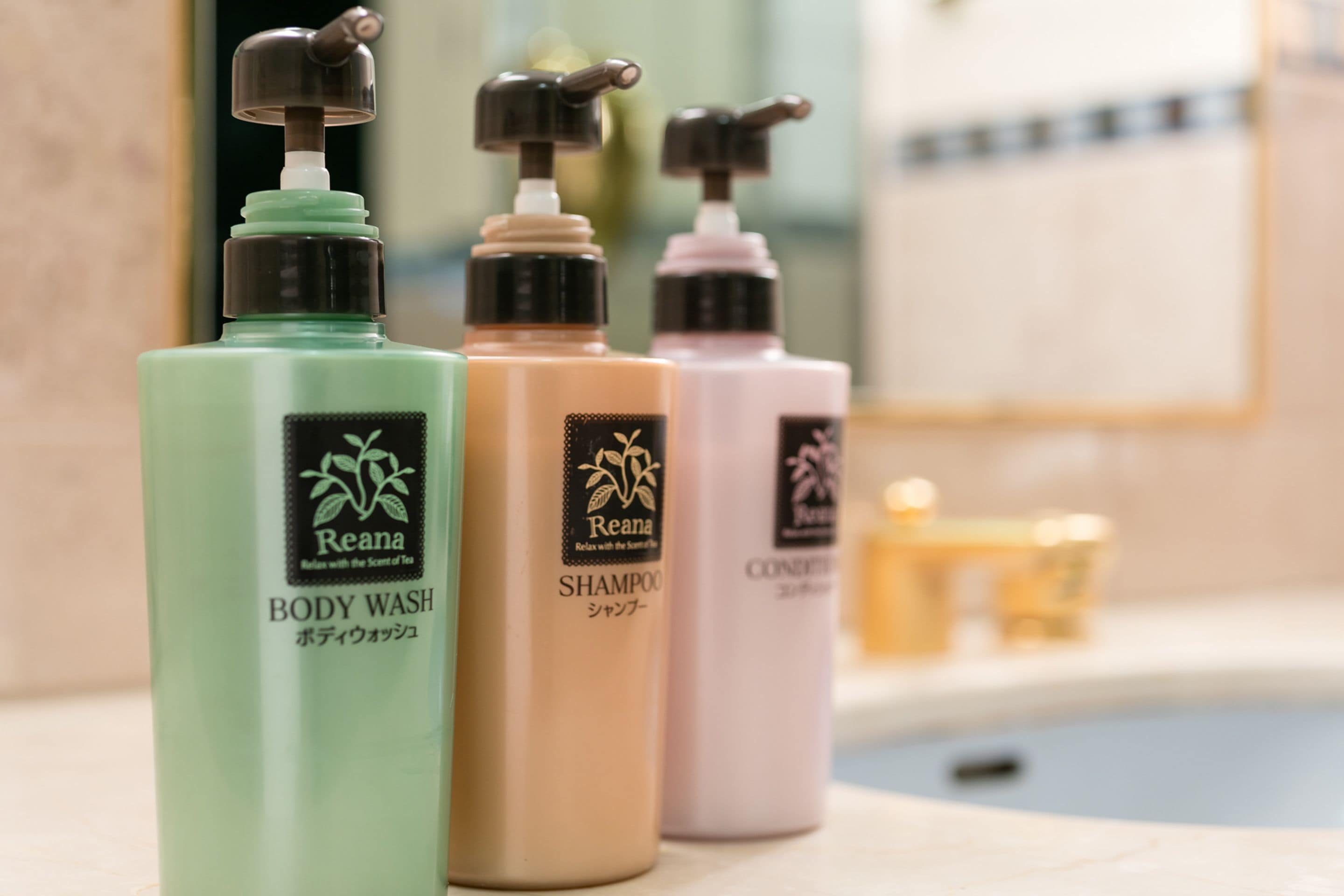 combined shower/bathtub, free toiletries, hair dryer, slippers