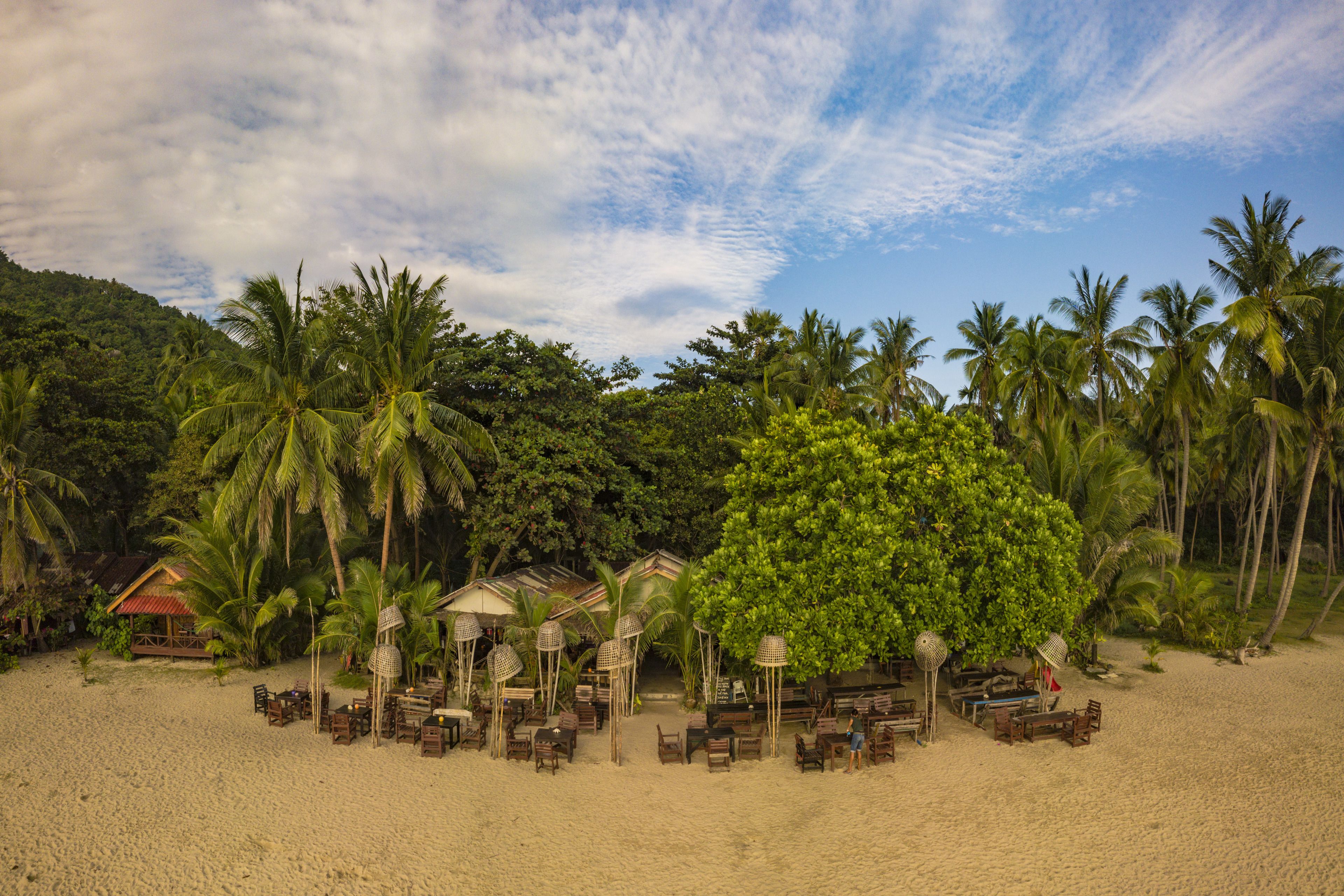 Un resort frente a la playa con asientos al aire libre, palmeras y una edificación con techo de paja.