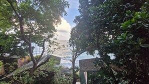 Vista costera con una casa parcialmente escondida por los árboles.