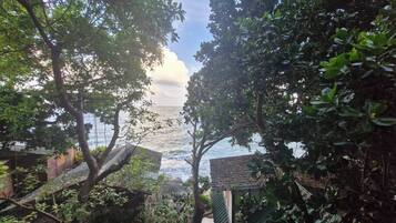 Bungalow Deluks, 1 Tempat Tidur Double, pemandangan laut terbatas, tepi gunung | Balkon