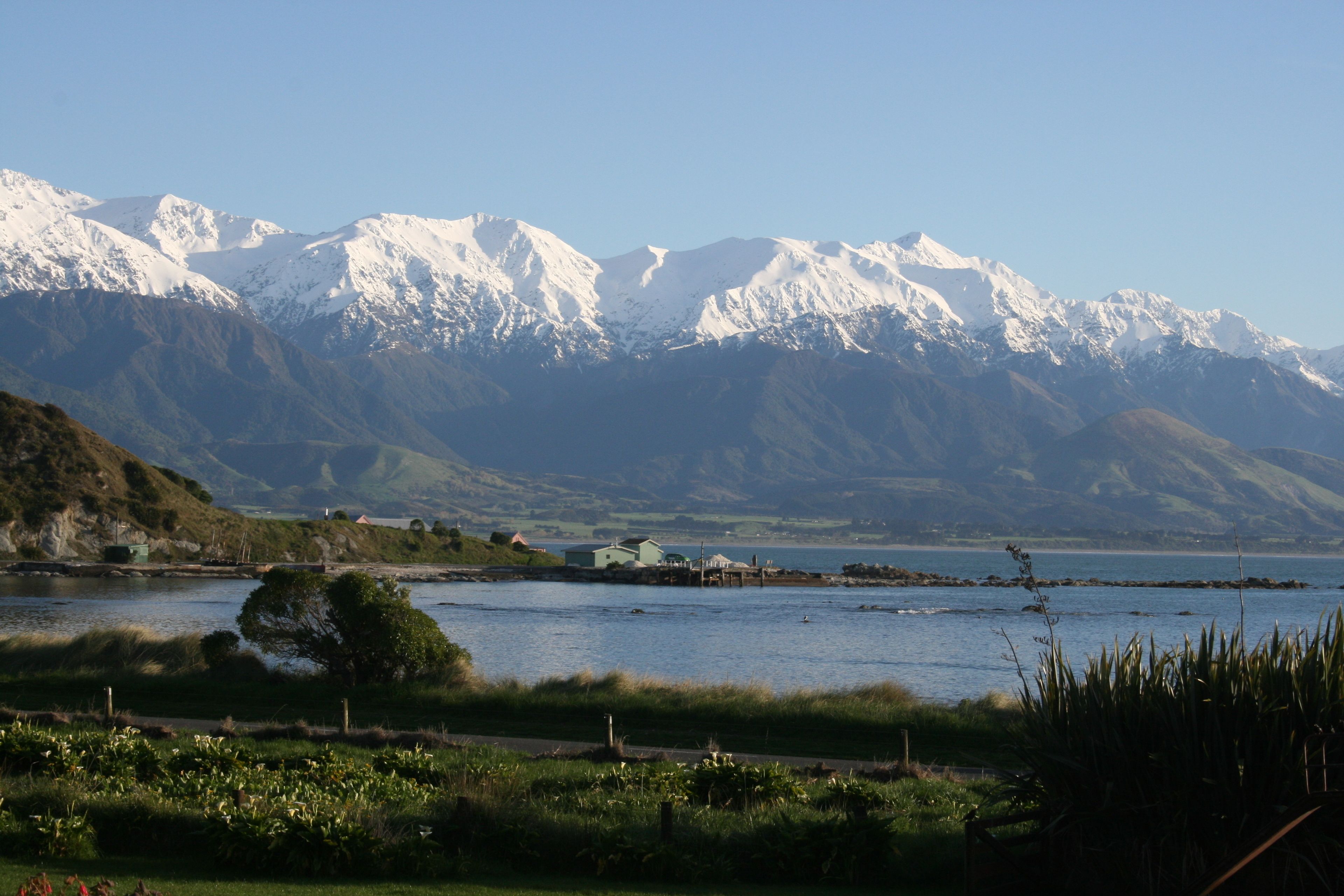 A lakeside view with mountains in the background, a small dock, and a grassy area with flowers.