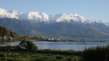 A lakeside view with mountains in the background, a small dock, and a grassy area with flowers.