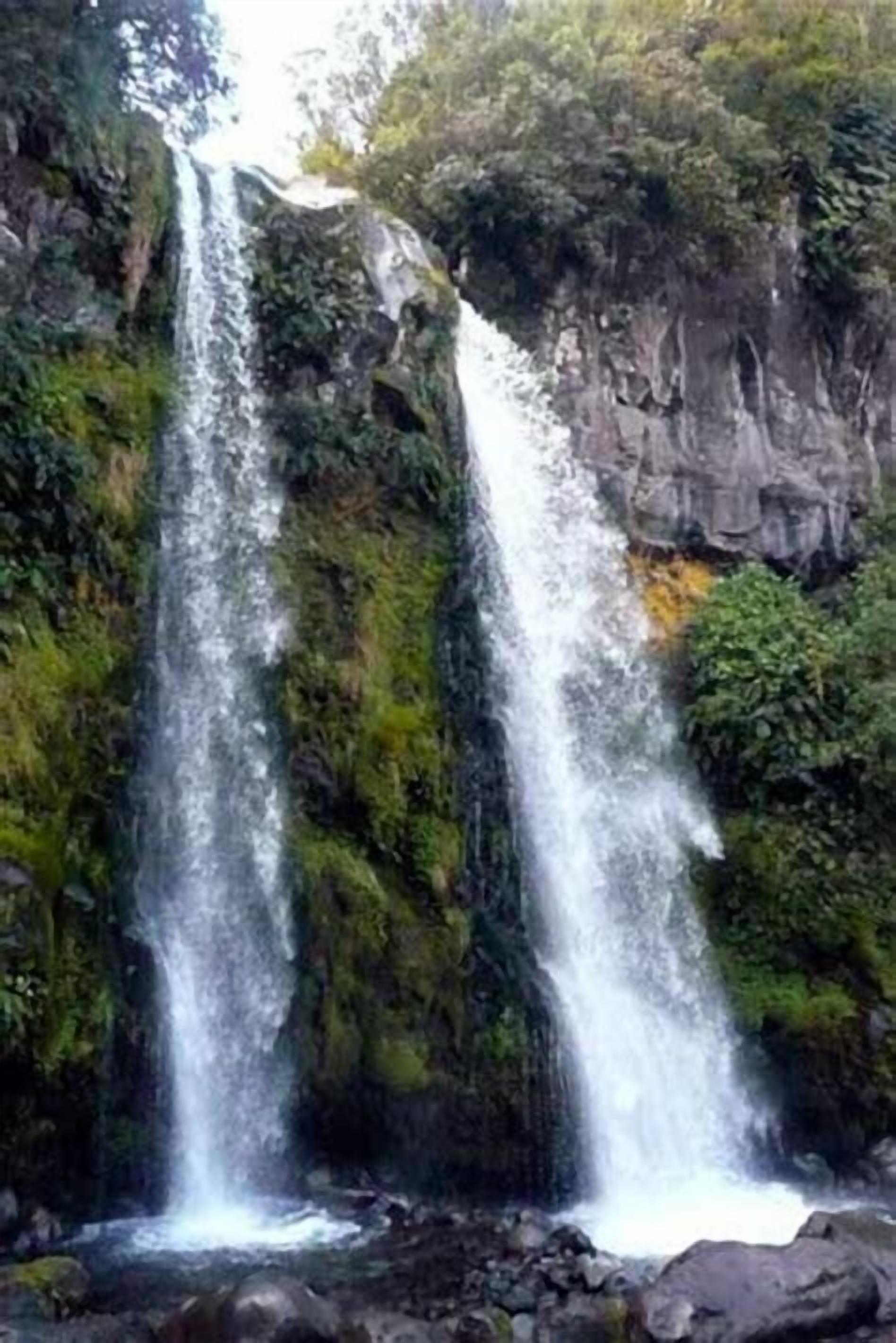 Un cascada que es precipita per un penya-segada rocosa envoltada de vegetació exuberància.