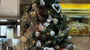 A Christmas tree decorated with ornaments and lights in a hotel lobby. - Hotel Sureyya (Istanbul)