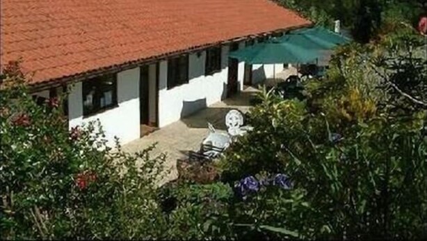 A white building with a red roof, a covered patio, and surrounding greenery. - The Cottage Marsh B&B (Honiton)