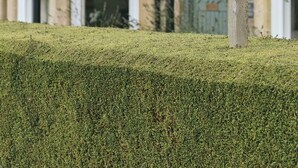 Een bordje met de tekst 'The Agent's House', met een balkon en een stenen gebouw op de achtergrond.