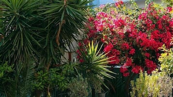 Breakfast, lunch and dinner served