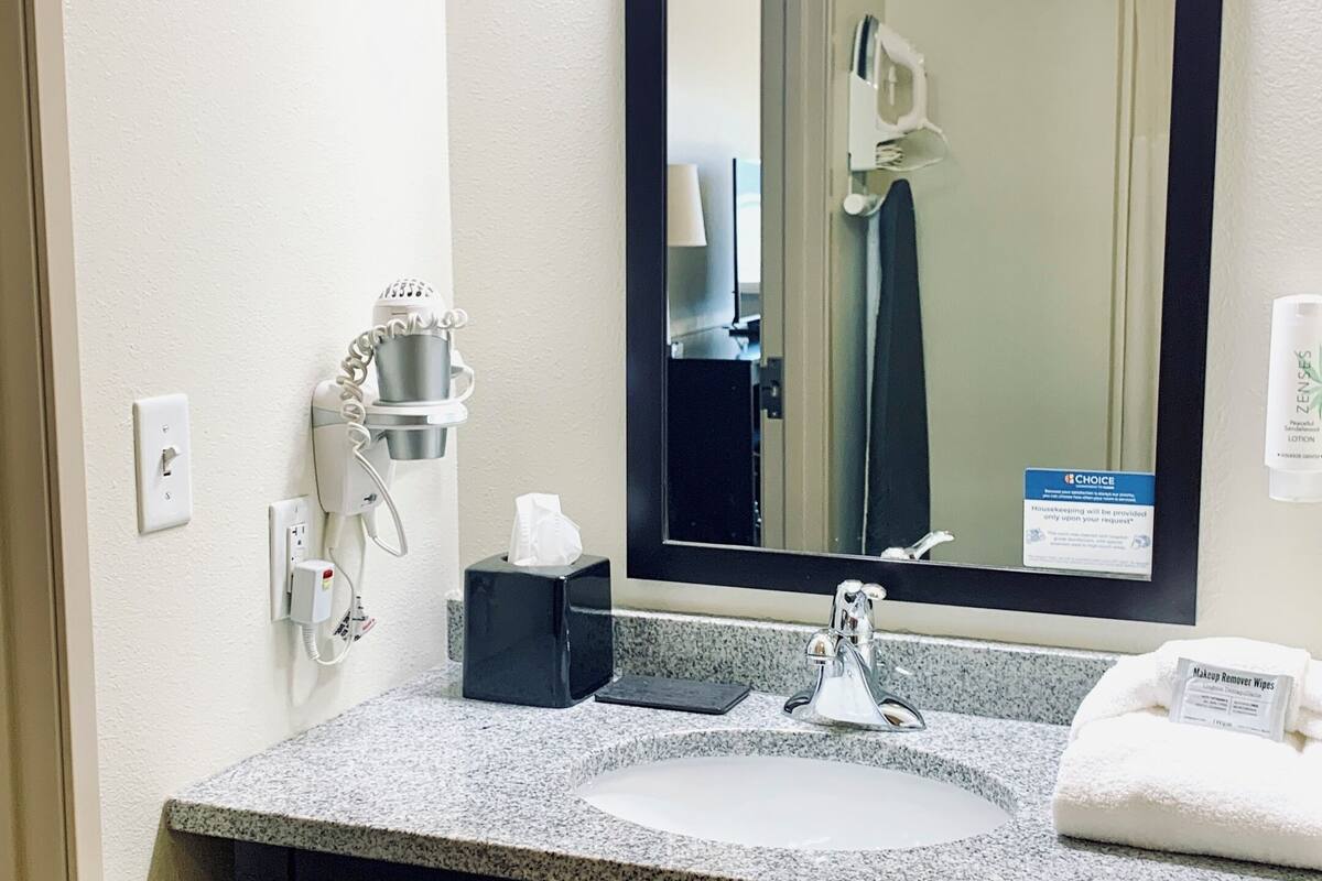 room, 1 king bed, accessible, non smoking | bathroom | free toiletries, hair dryer, towels, soap