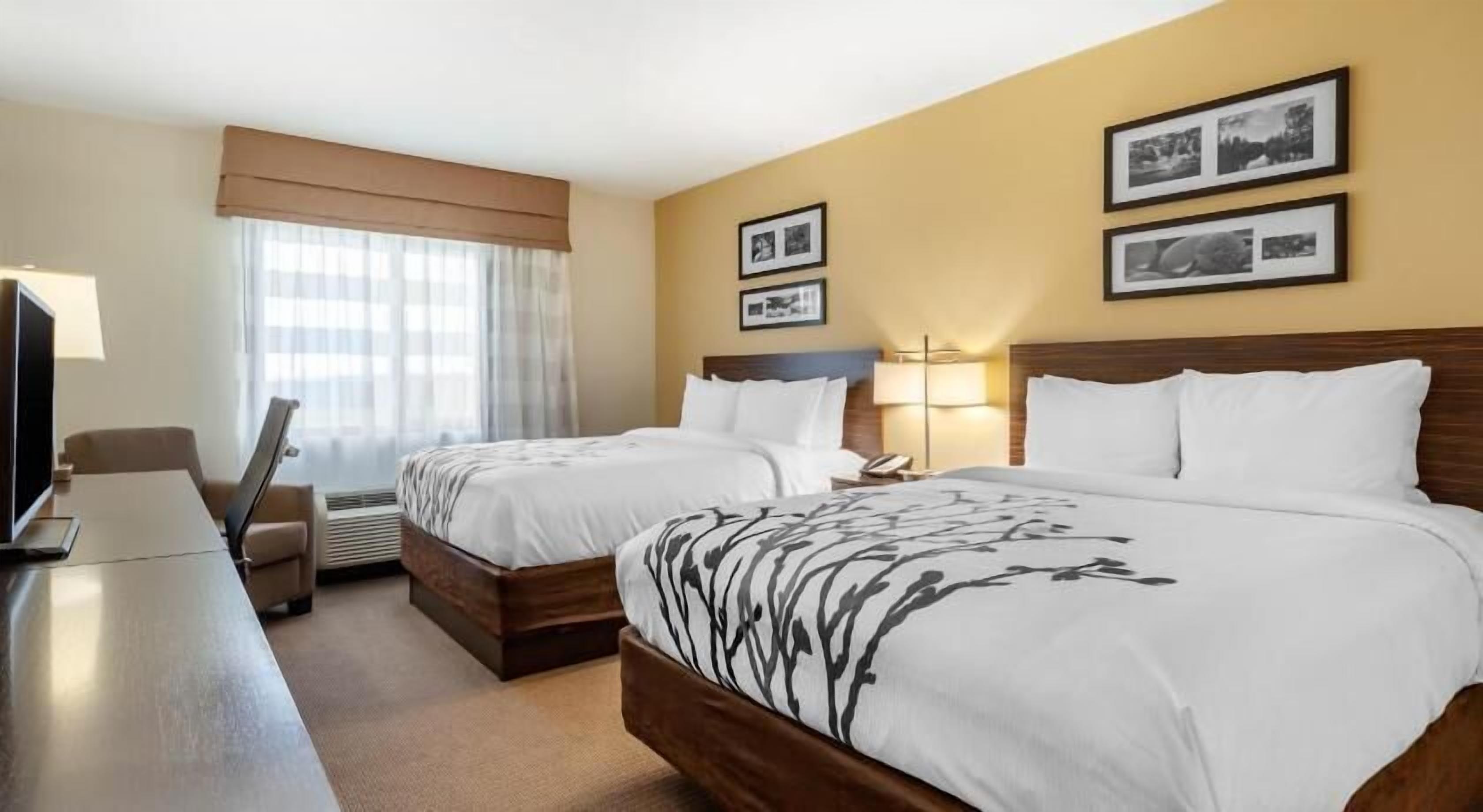 加厚床垫、办公桌、遮光窗帘、熨斗/熨衣板