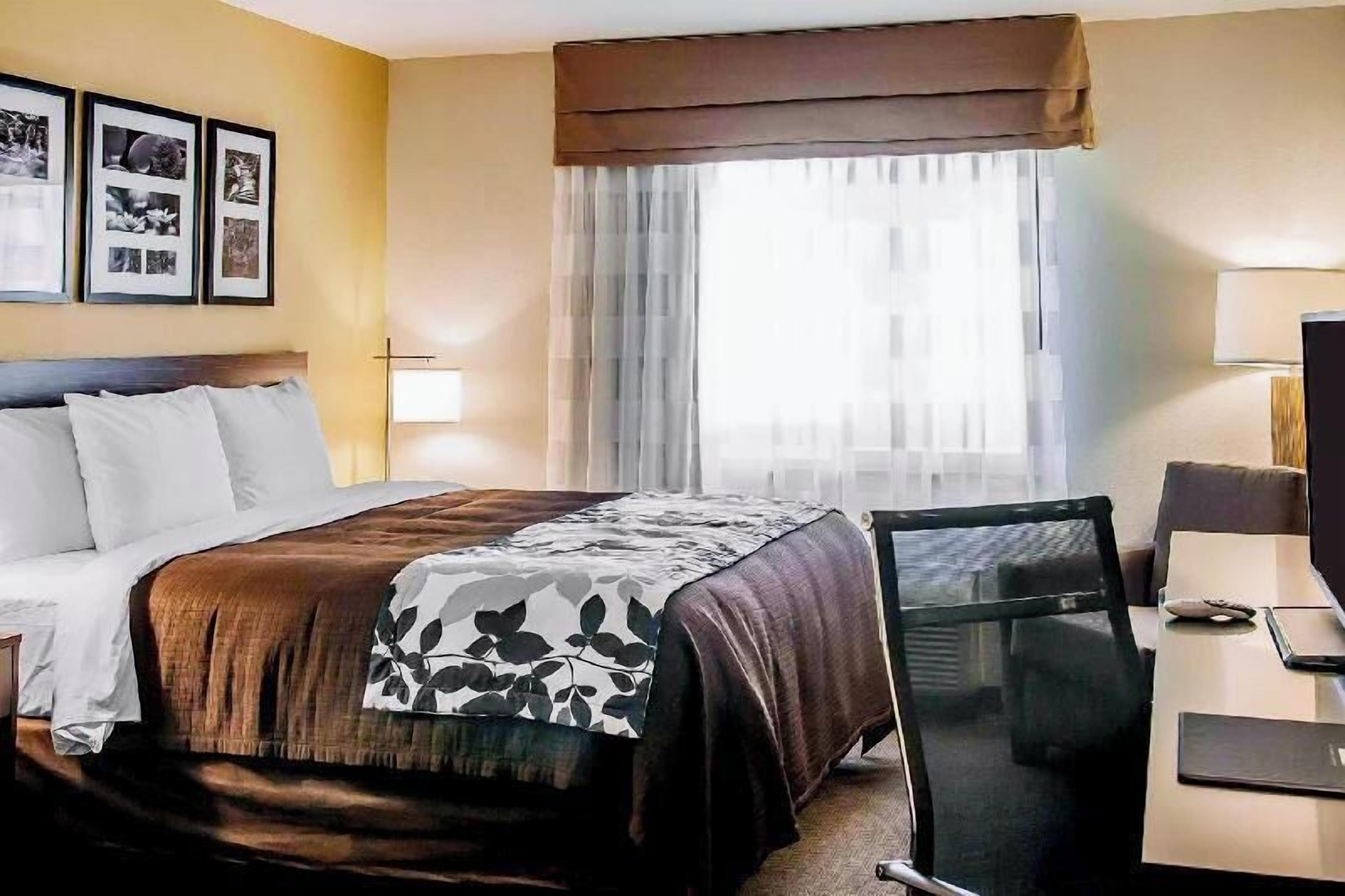 加厚床垫、办公桌、遮光窗帘、熨斗/熨衣板