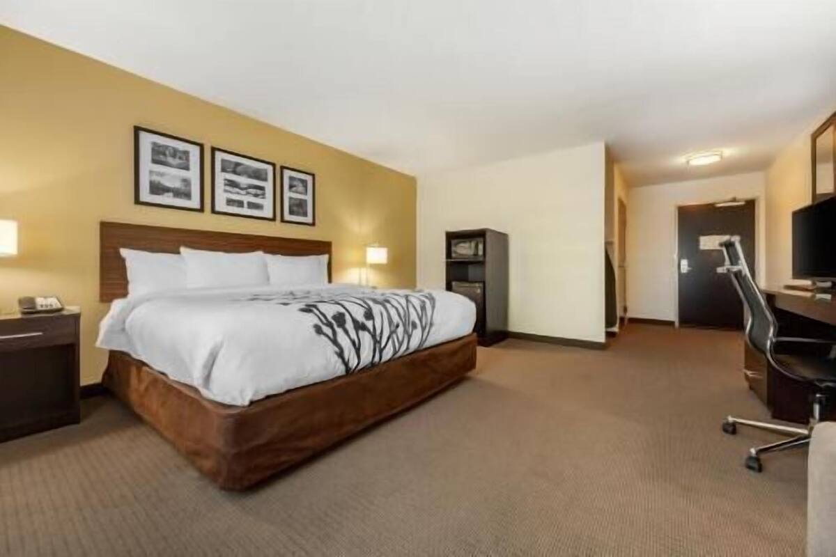 Une chambre d’hôtel avec un lit, un bureau, une chaise, une télévision et des tableaux encadrés au mur.