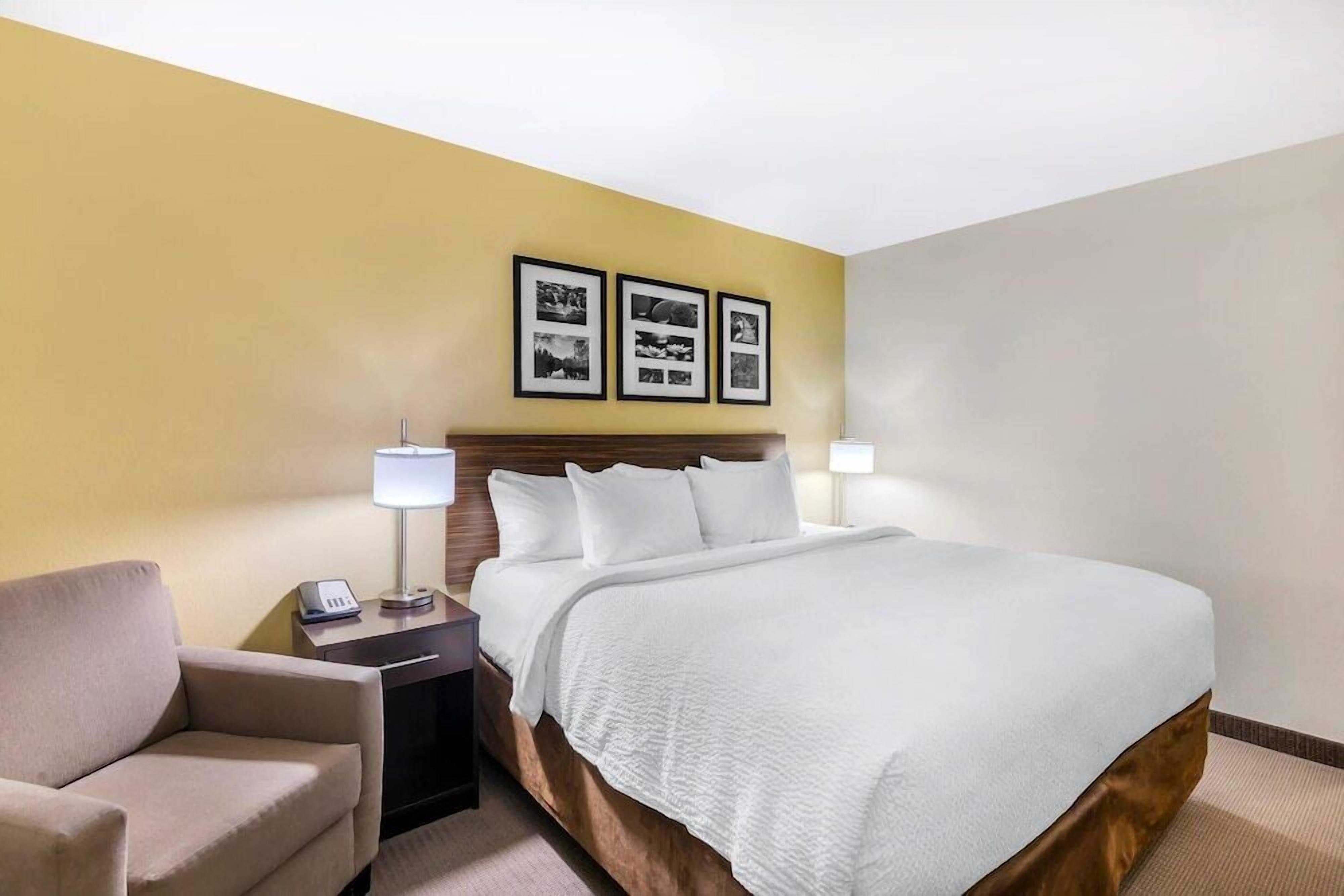 Pillowtop beds, desk, blackout drapes, iron/ironing board