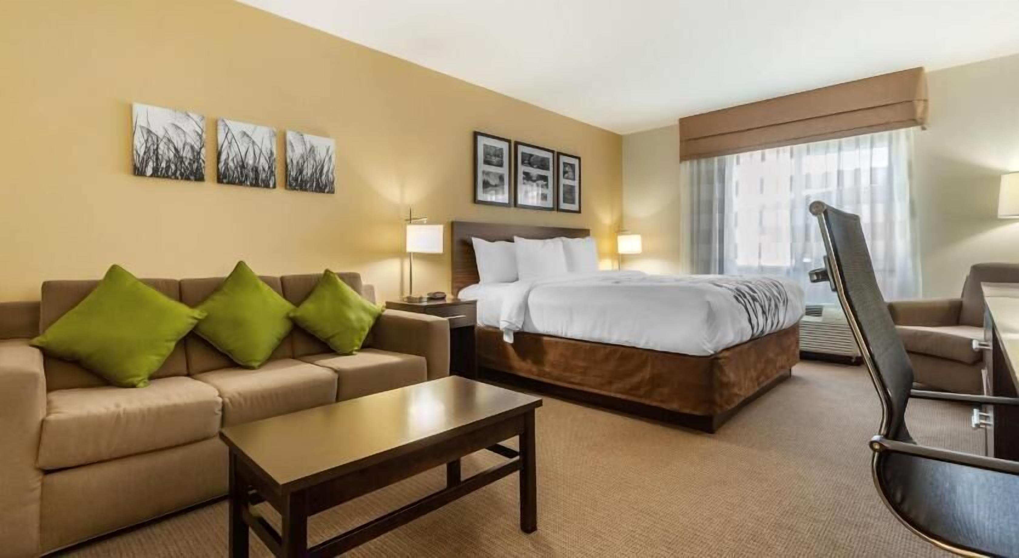 加厚床垫、办公桌、遮光窗帘、熨斗/熨衣板