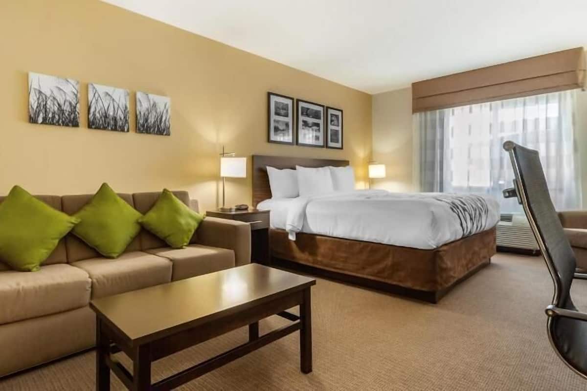 Colchones con pillow-top, escritorio y cortinas blackout