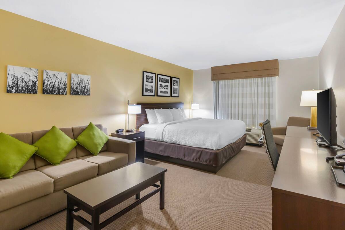 Une chambre d’hôtel équipée d’un lit, d’un canapé, d’un bureau et d’une télévision.