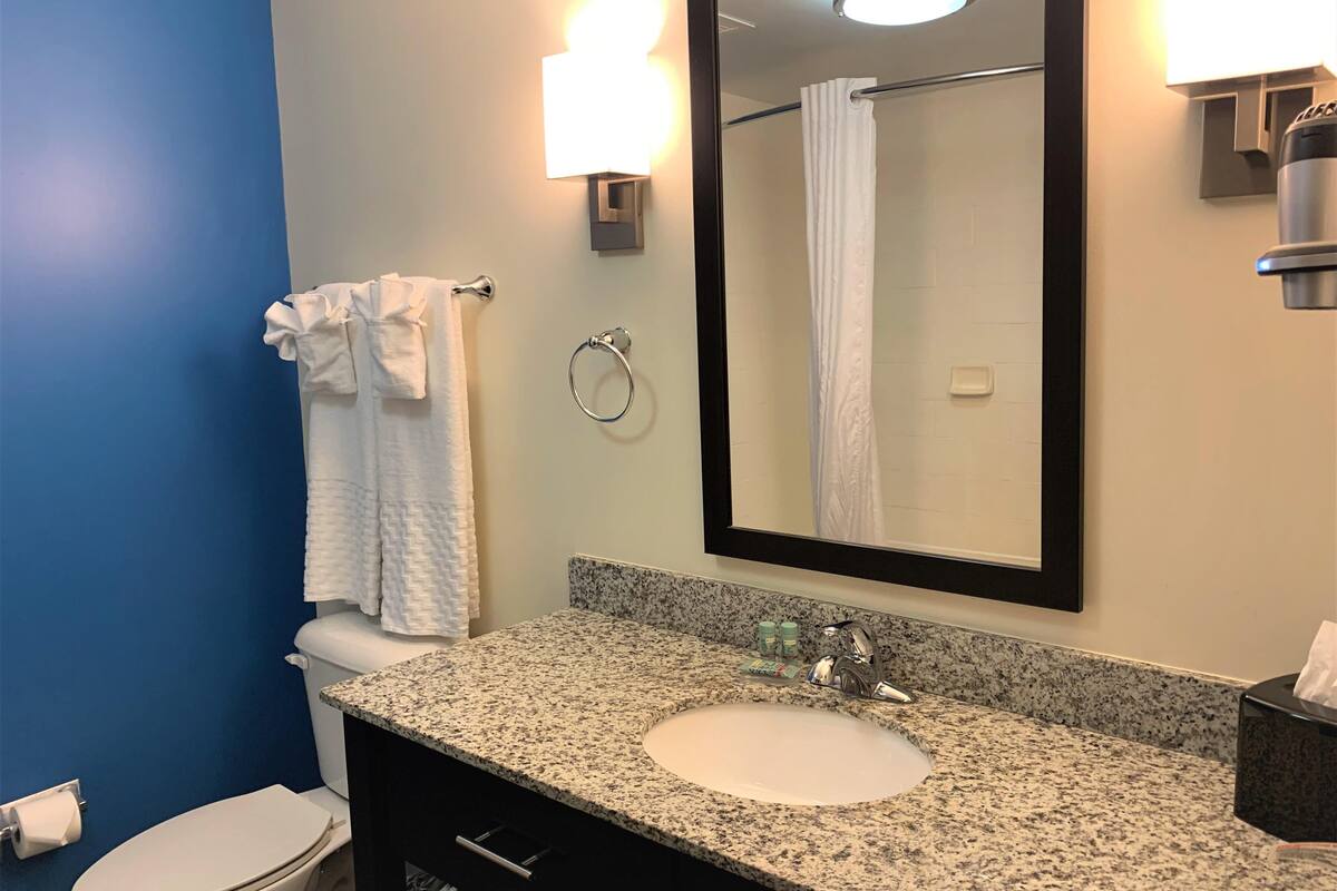 combined shower/bathtub, free toiletries, hair dryer, towels