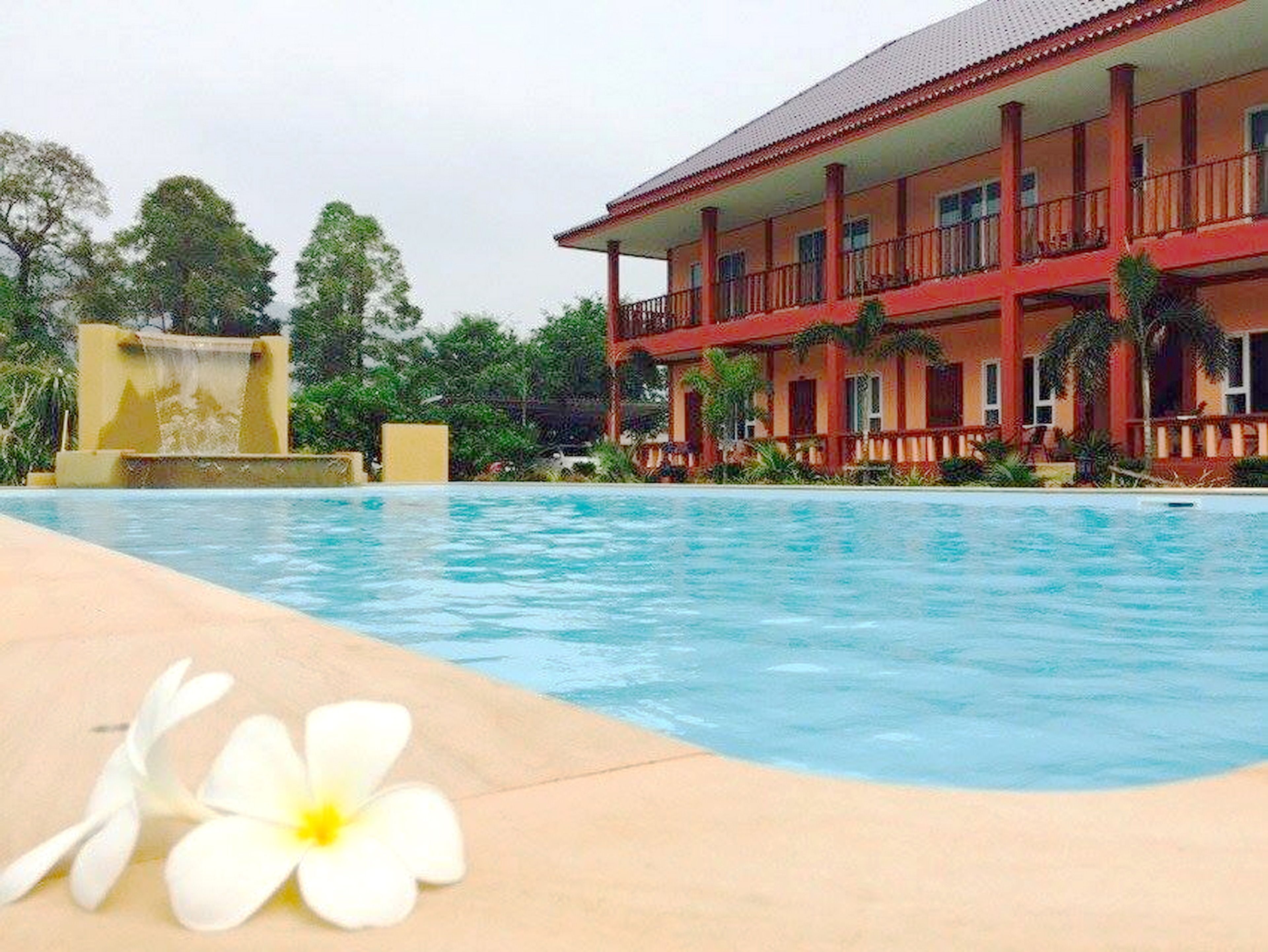 A swimming pool with a flower on the edge, a building with balconies and a red roof, and a waterfall in the background.
