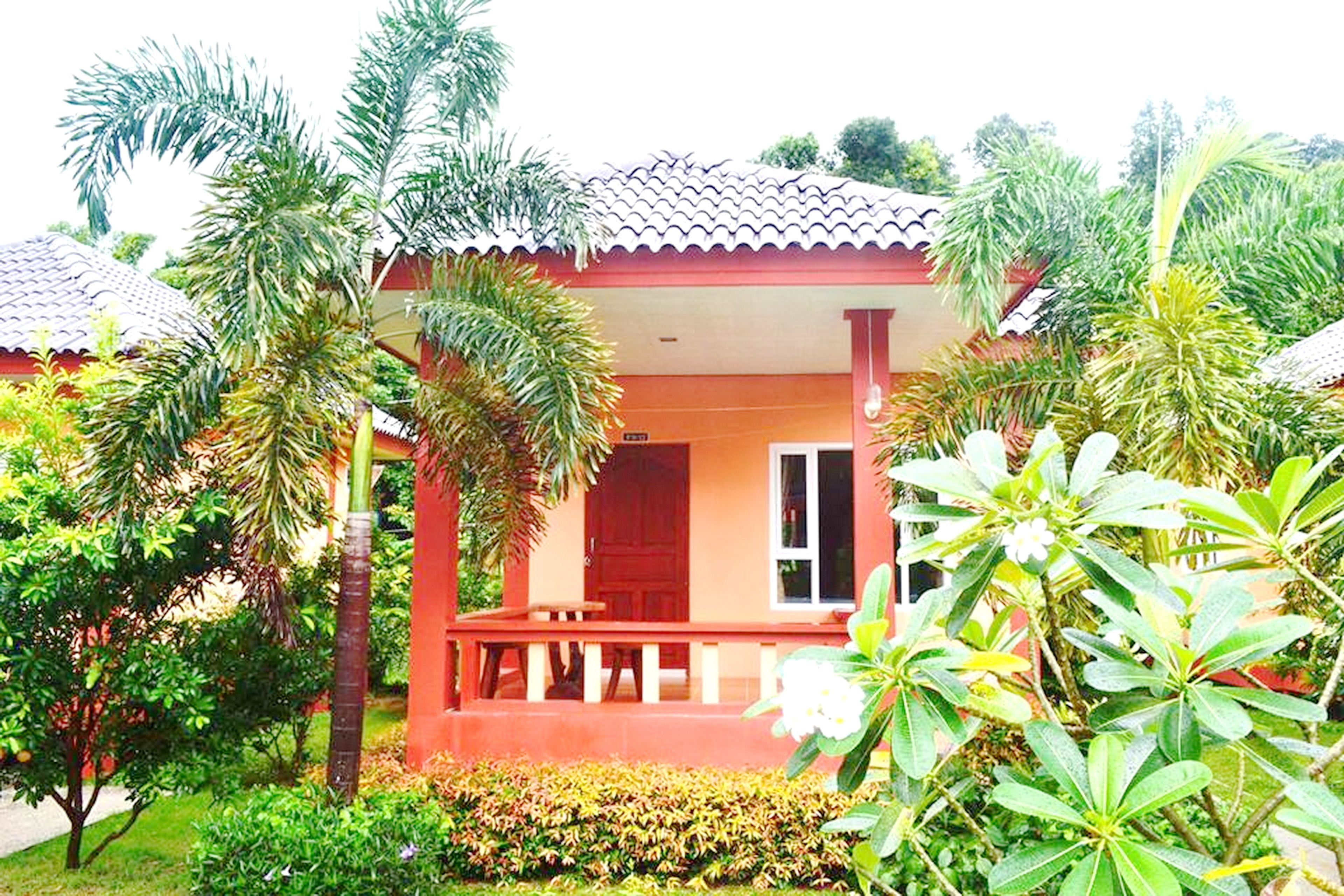 Decoración individual, mobiliario individual, escritorio y wifi gratis