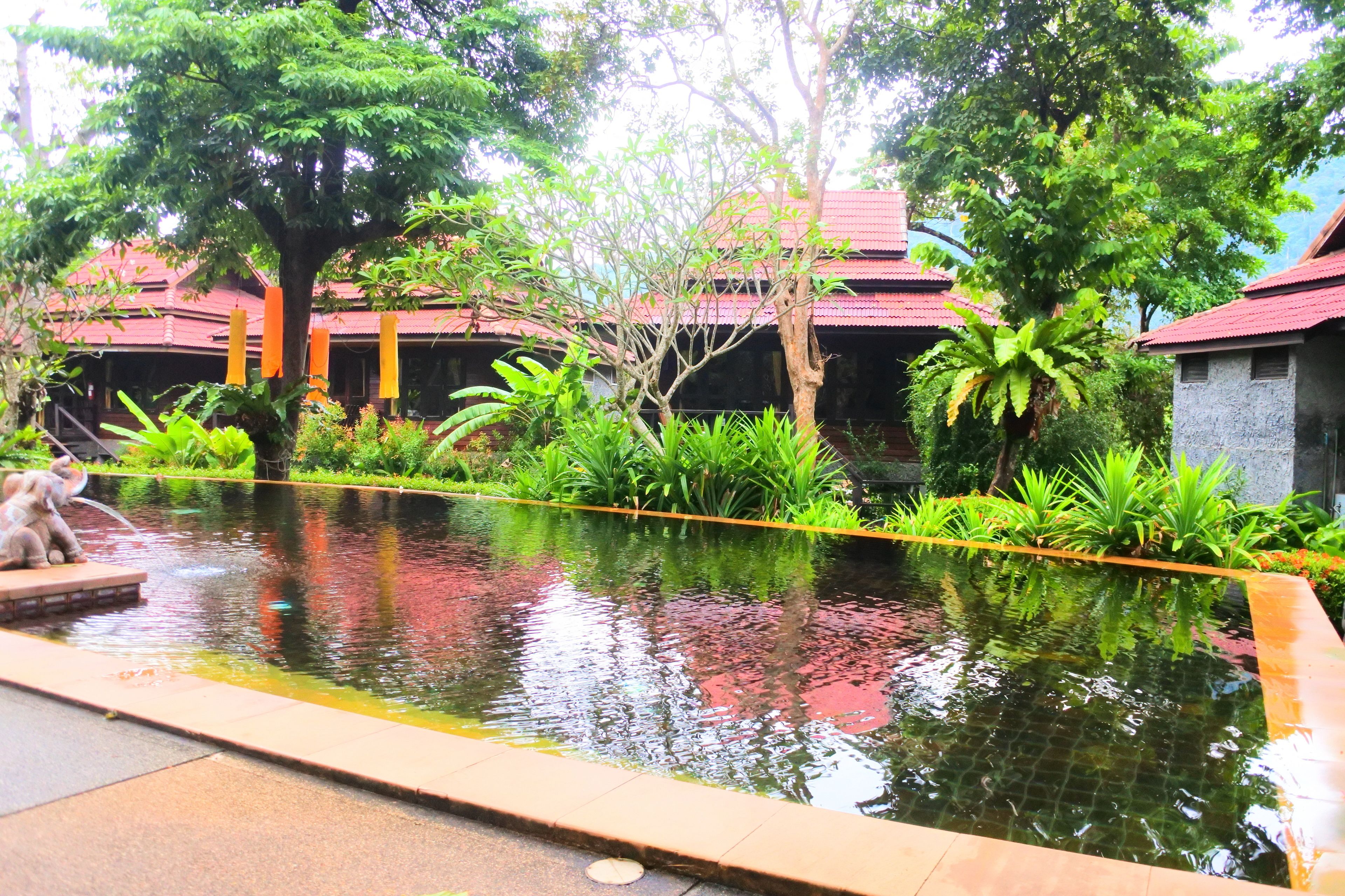 Udendørs pool, en naturpool