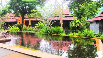 Udendørs pool, en naturpool