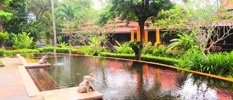 Outdoor pool, a natural pool