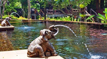 Una piscina al aire libre, una piscina natural