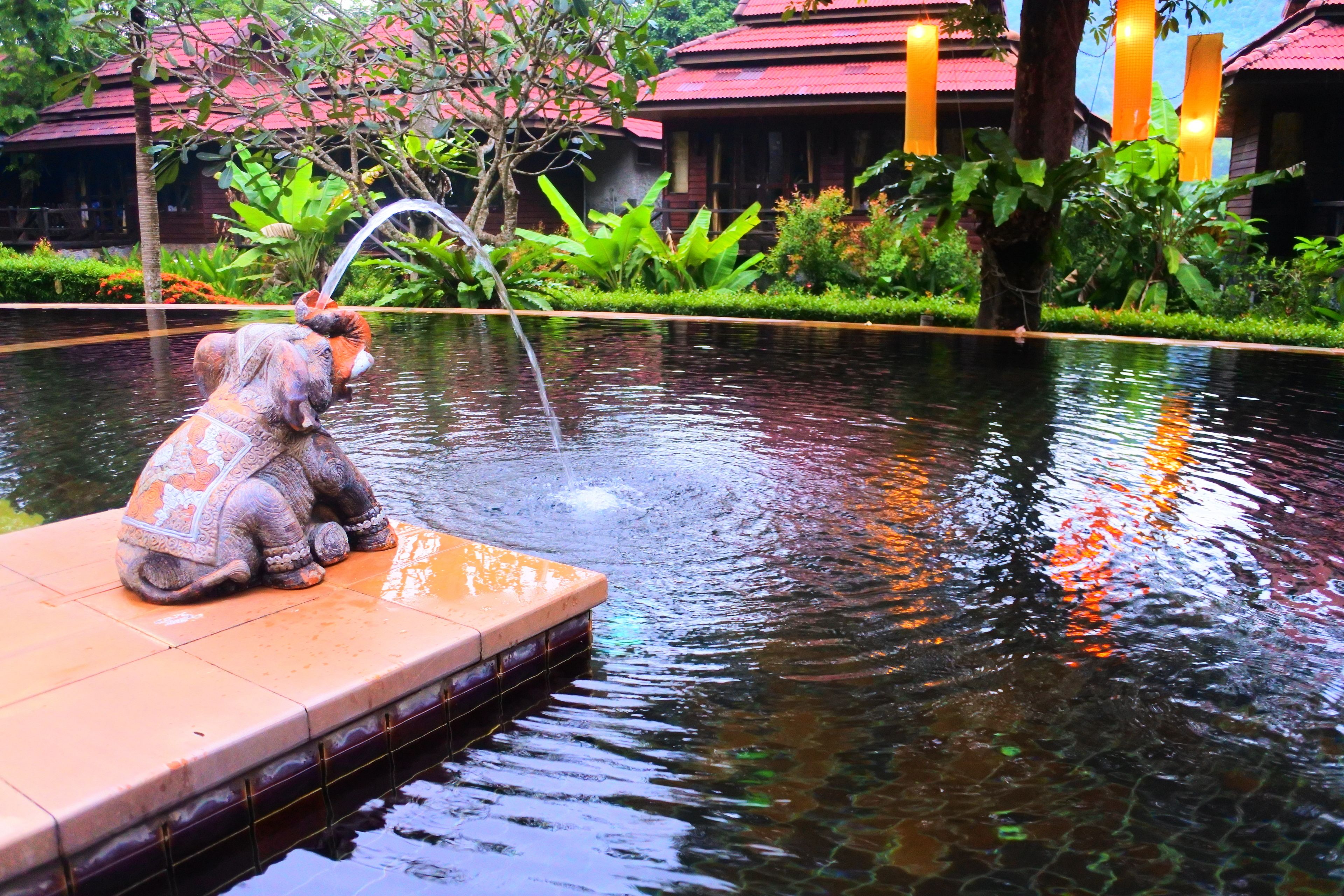Outdoor pool, a natural pool
