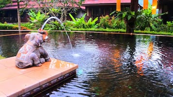 Outdoor pool, a natural pool