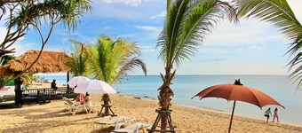 Peace Paradise Beach