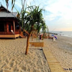 Plage, chaises longues, parasols