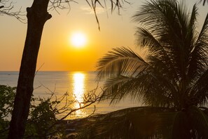 A sunset over a calm sea with palm trees silhouetted against the sky.