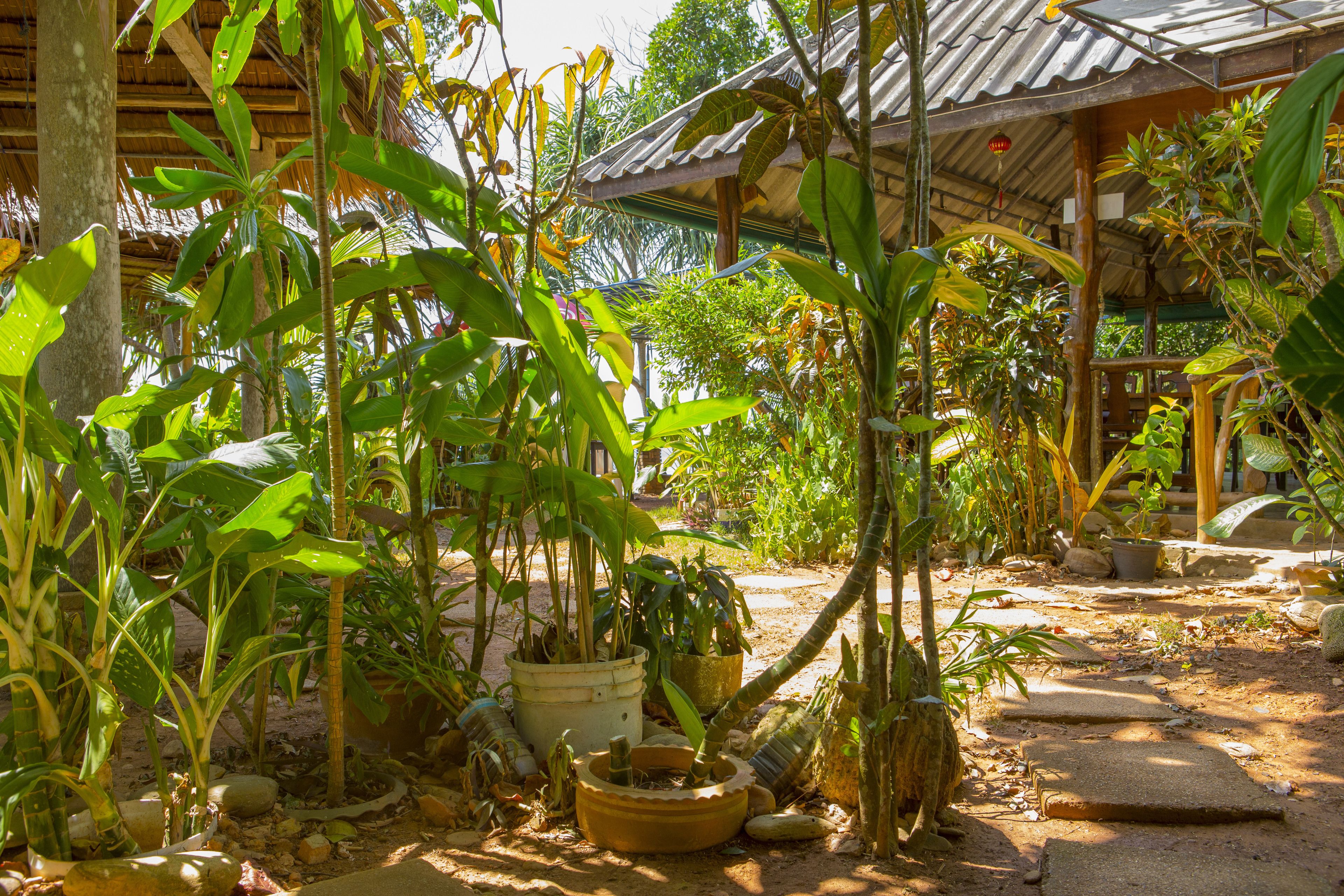 breakfast, lunch, dinner served; thai cuisine, beach views