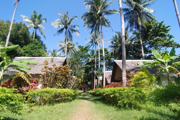 A pathway leading to thatched-roof huts surrounded by lush greenery and tall palm trees.