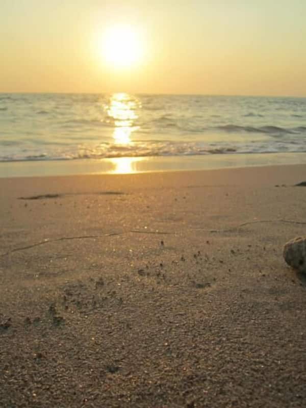 Am Strand