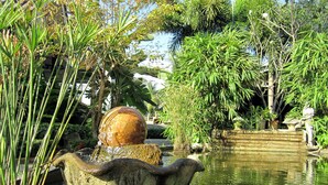 A garden with a water feature, including a stone basin and a spherical object, surrounded by various plants and trees.