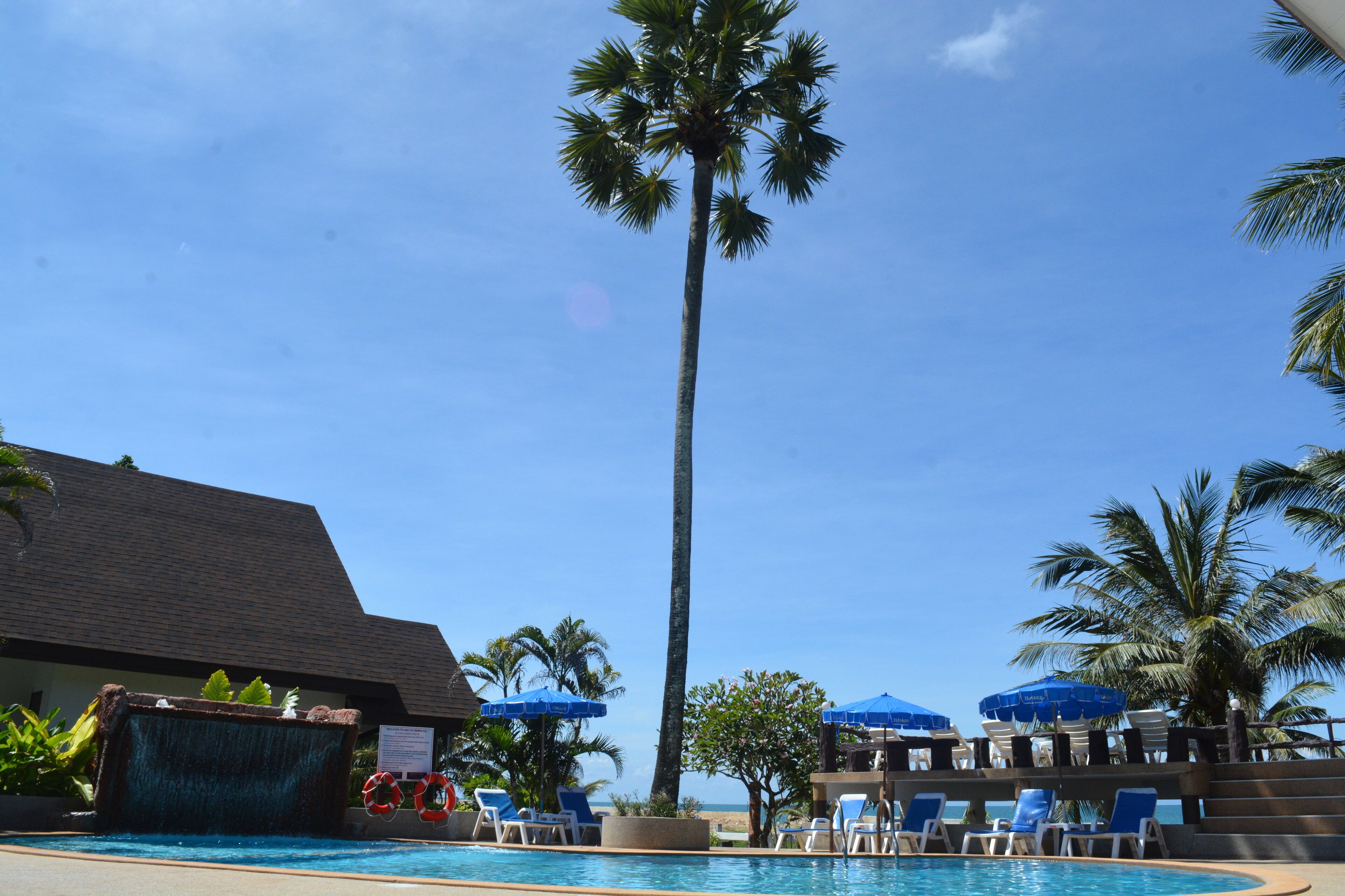 Zona de piscina con sillas de descanso, palmeras y un edificio con techo inclinado.