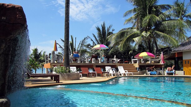 A swimming pool with clear water, surrounded by lounge chairs and umbrellas, with palm trees and a building in the background.