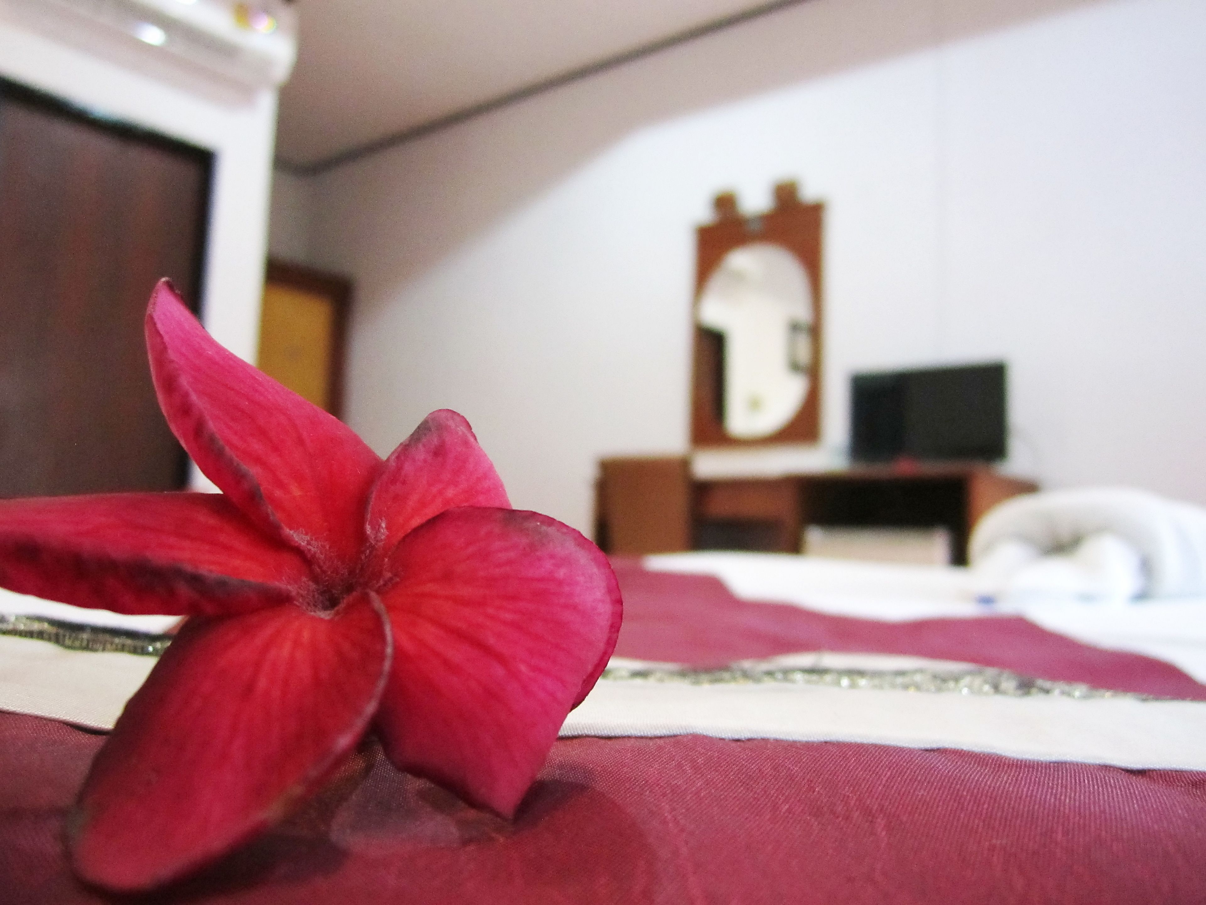 A bed with a red bedspread, a wooden nightstand with a mirror, and a television.