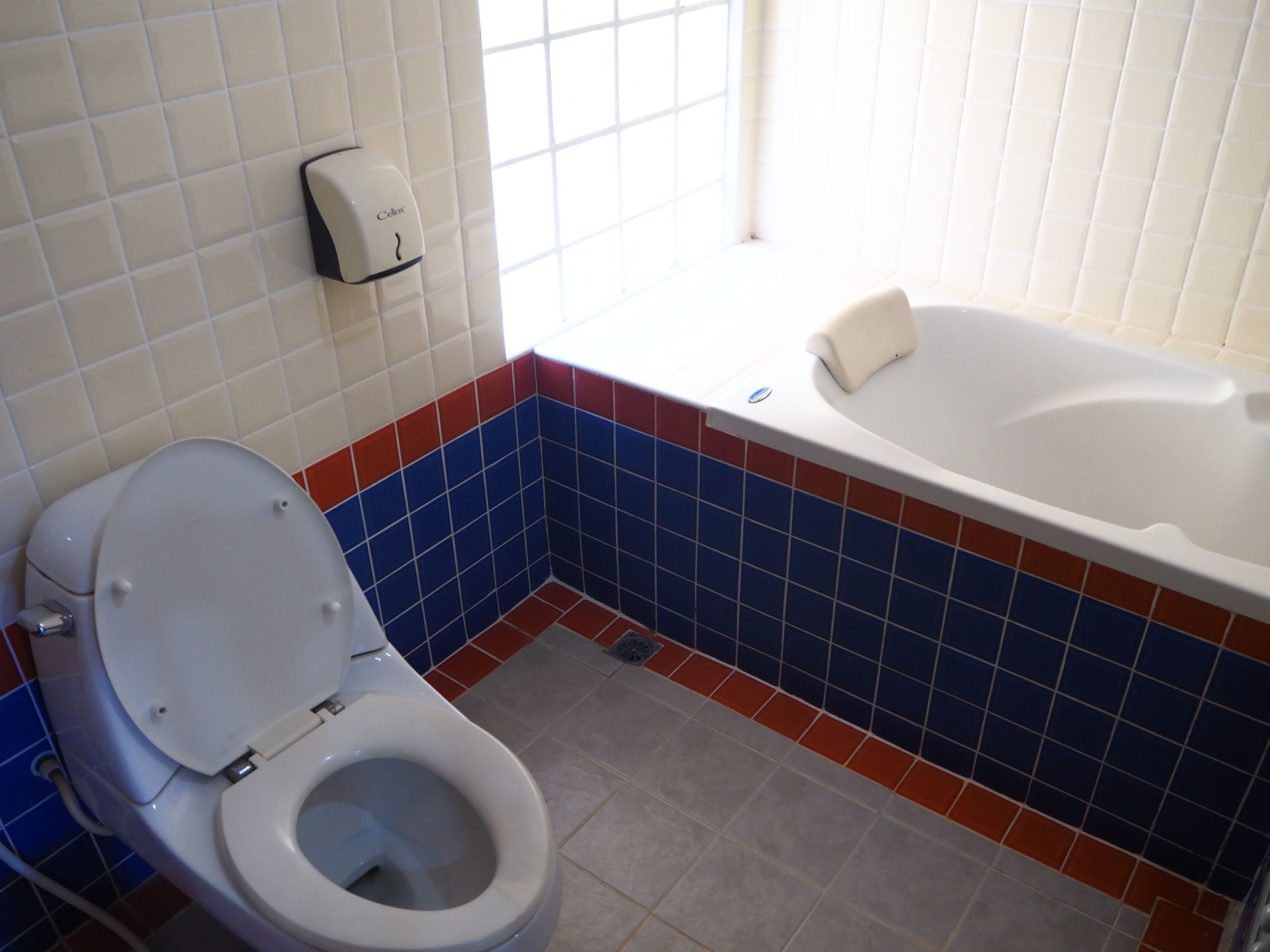 A bathroom with a toilet, a bathtub, and a window.