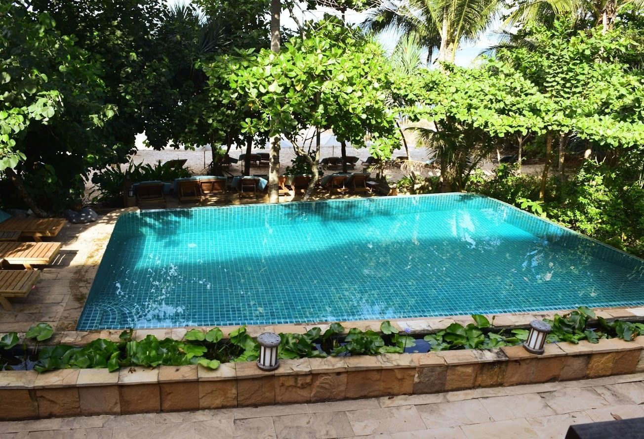 outdoor pool, pool loungers