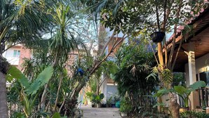 Un sentier bordé d’une végétation luxuriante et de plantes en pot, qui mène à un bâtiment doté d’un toit en bois et dont la porte est bien visible.
