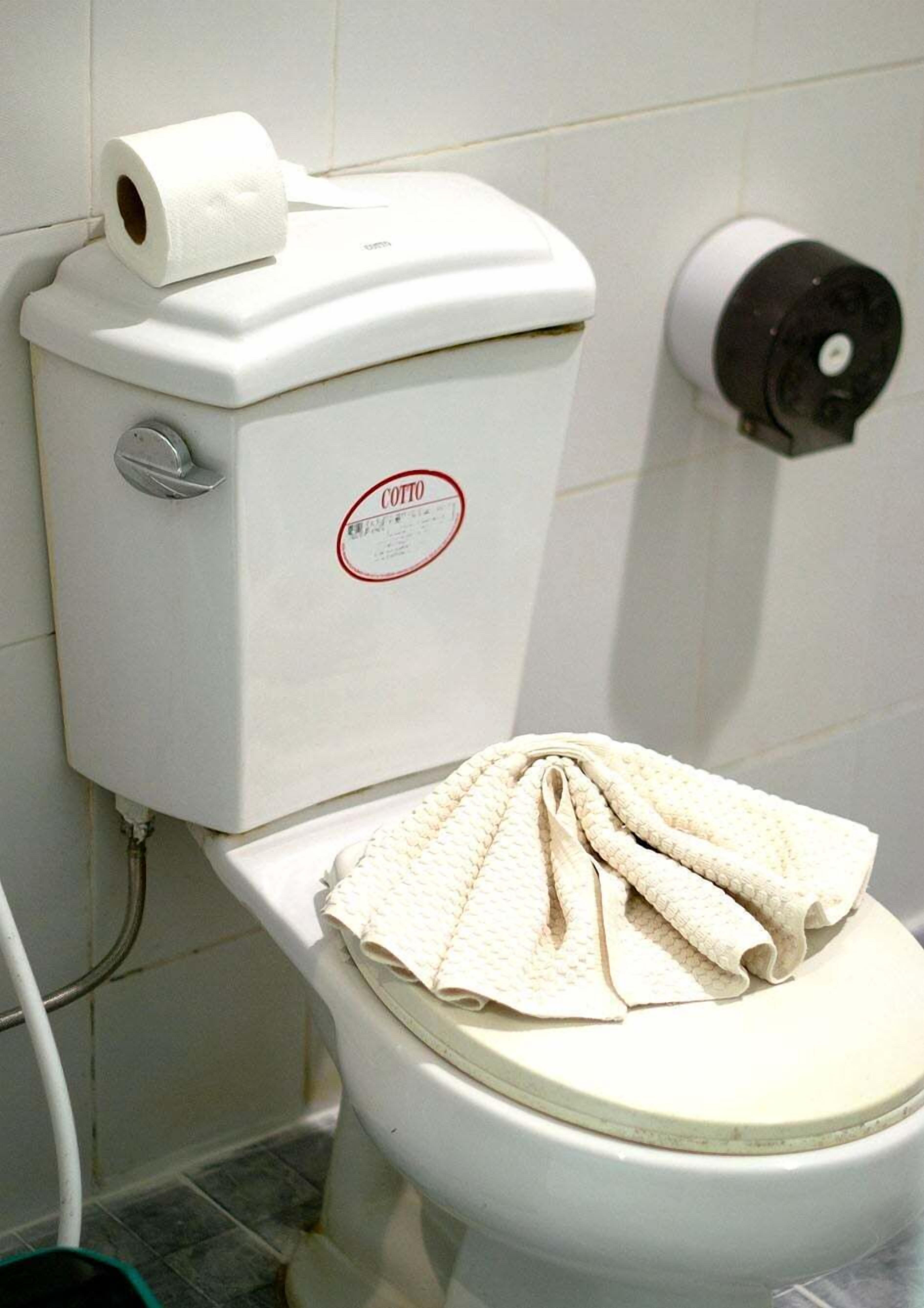 Eine Toilette mit einem COTTOLIN-Etikett, einem Toilettenpapierhalter und einer Rolle Toilettenpapier.