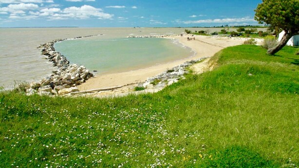 A beach with a curved rocky shoreline, grassy areas, and a clear sky. - Hôtel La Chaloupe (Port-des-Barques)
