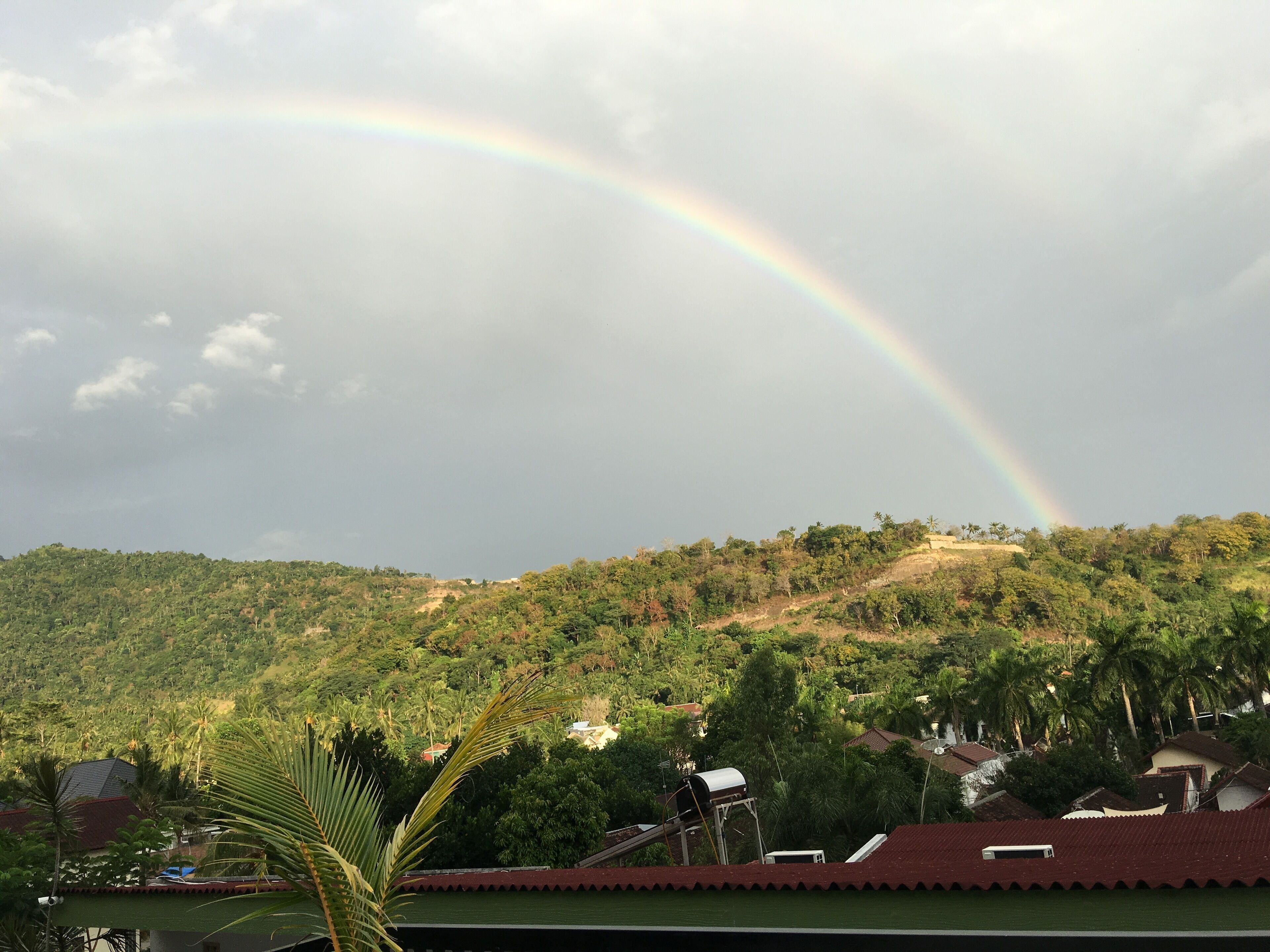 economy twin room, multiple beds | view from room