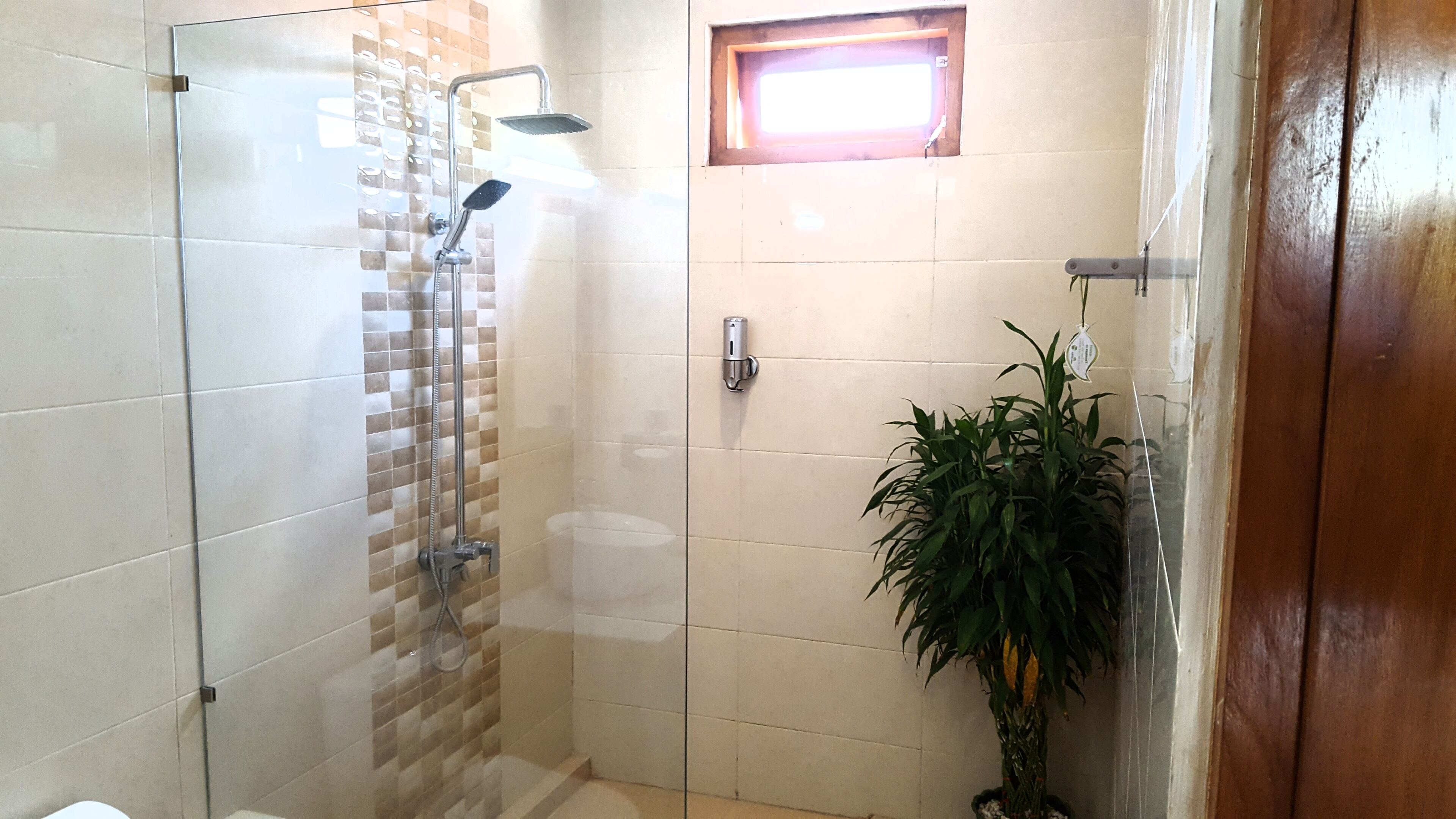 shower, rainfall showerhead, hair dryer, bidet