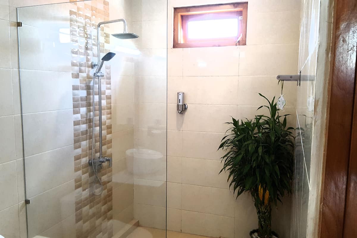 shower, rainfall showerhead, hair dryer, bidet